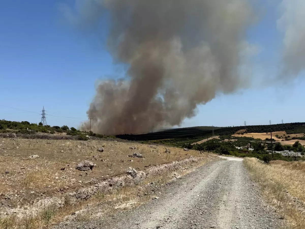 Çanakkale'de Tarım Arazisinde Yangın Ormana Sıçradı