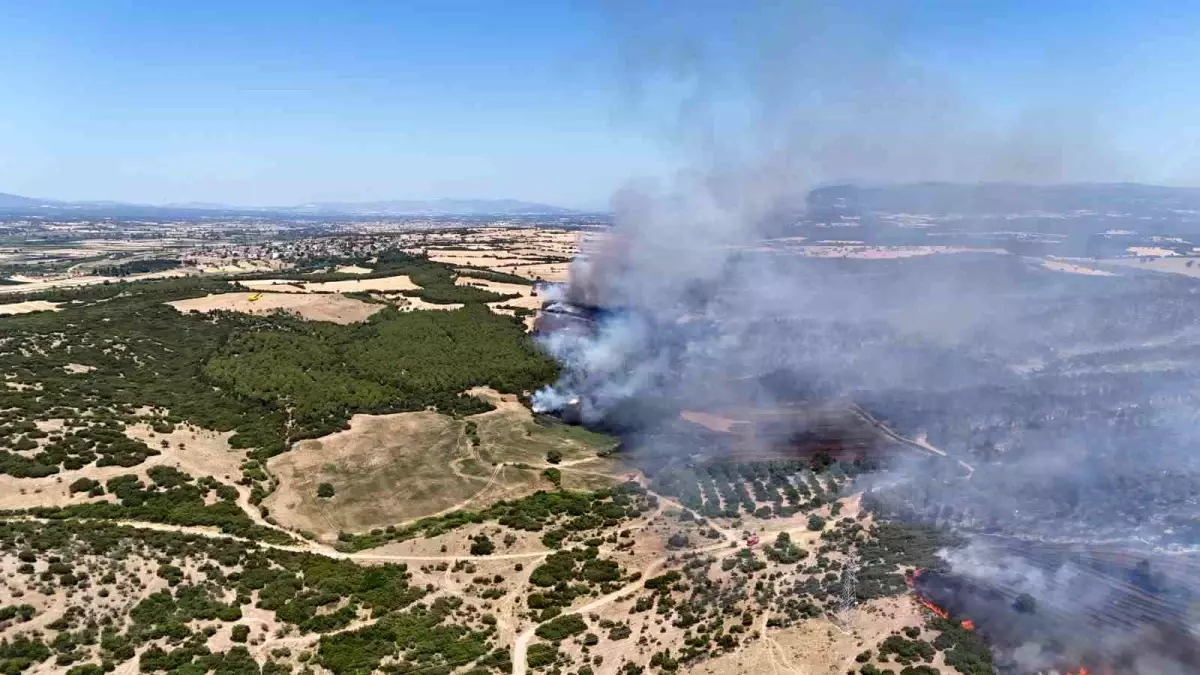 Çanakkale Valiliği, Ezine’deki Orman Yangınına İlişkin Açıklama Yaptı