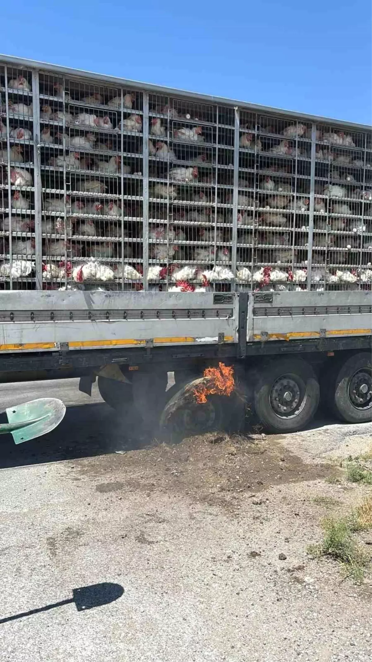 Konya'da Canlı Tavuk Dolu Tırda Yangın Paniği