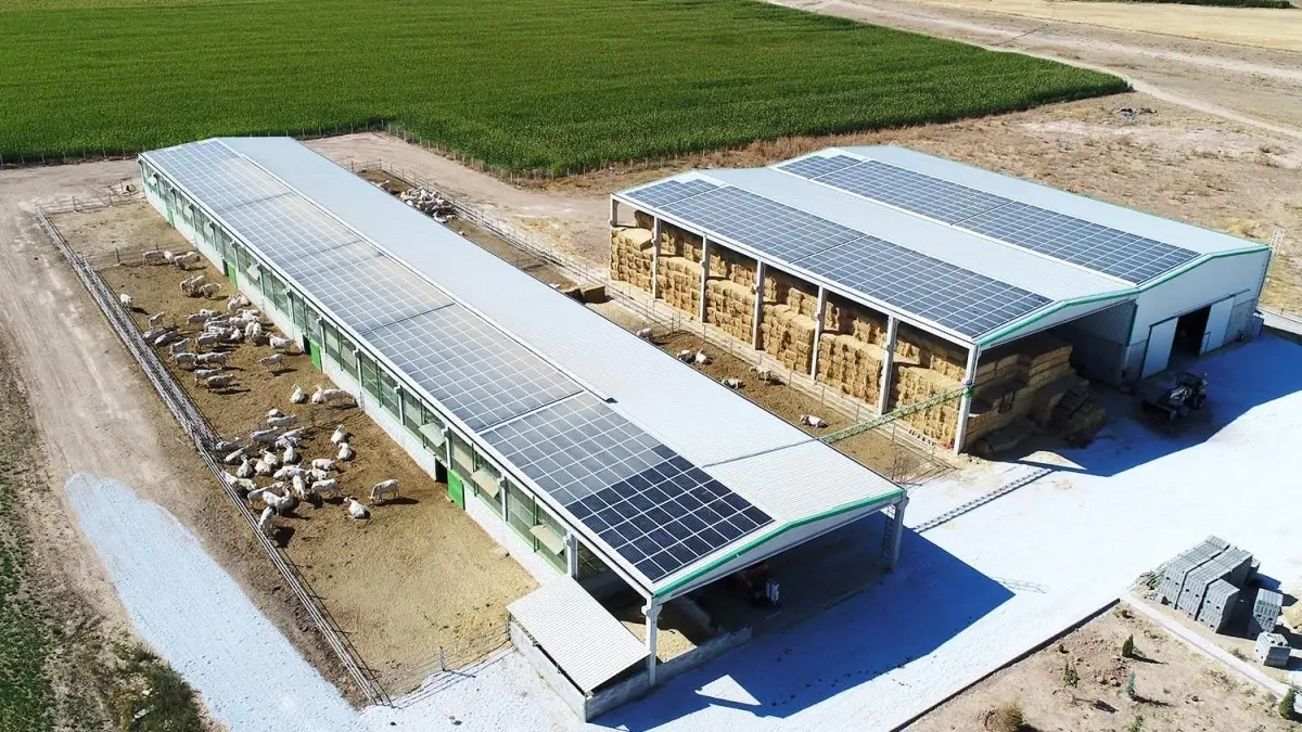 Denizli'de Kırsal Kalkınma Projesine 87.4 Milyon TL Hibe