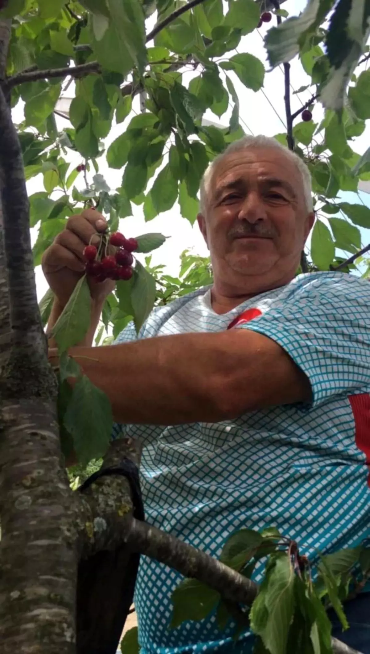 Düzce'de Elektrik Çarpması Sonucu Bir Kişi Hayatını Kaybetti
