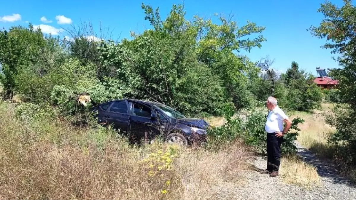 Erzincan-Kemah Karayolu'nda Trafik Kazası: Araç Ağaçlara Çarptı