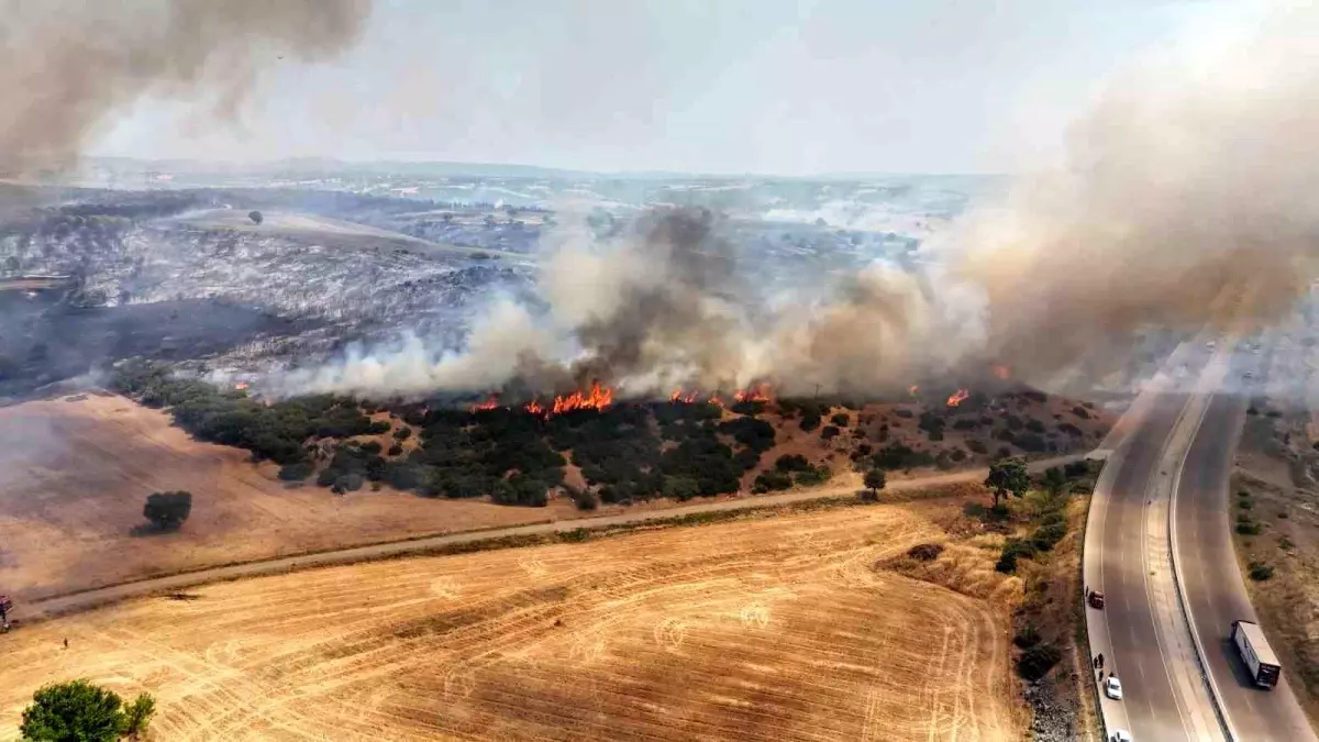 Çanakkale'de Tarım Arazisinde Yangın: Havadan ve Karadan Mücadele Devam Ediyor