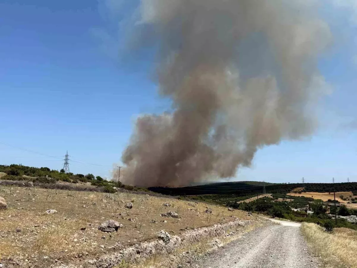 Çanakkale'de Tarım Arazisinde Yangın