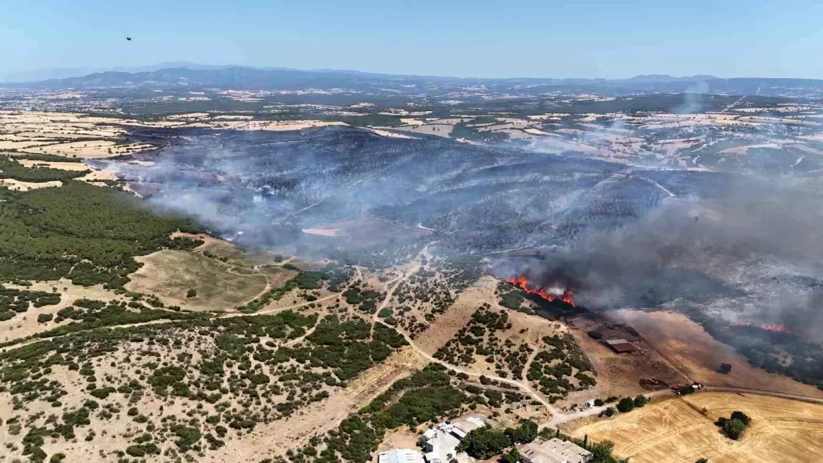 Çanakkale'deki Orman Yangını Kontrol Altına Alındı