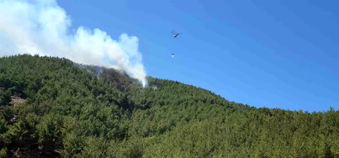 Hatay'da Orman Yangını Kontrol Altına Alındı