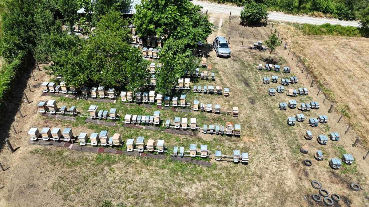 Emekli Ambulans Şoförü Arıcılıkta Başarı Hikayesi Yazıyor