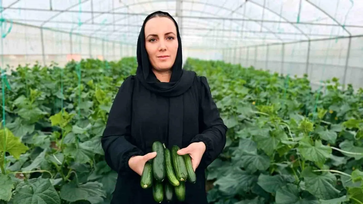 Marya Esenkol, Yüksekova'da Seracılıkta Başarı Hikayesi Yazıyor
