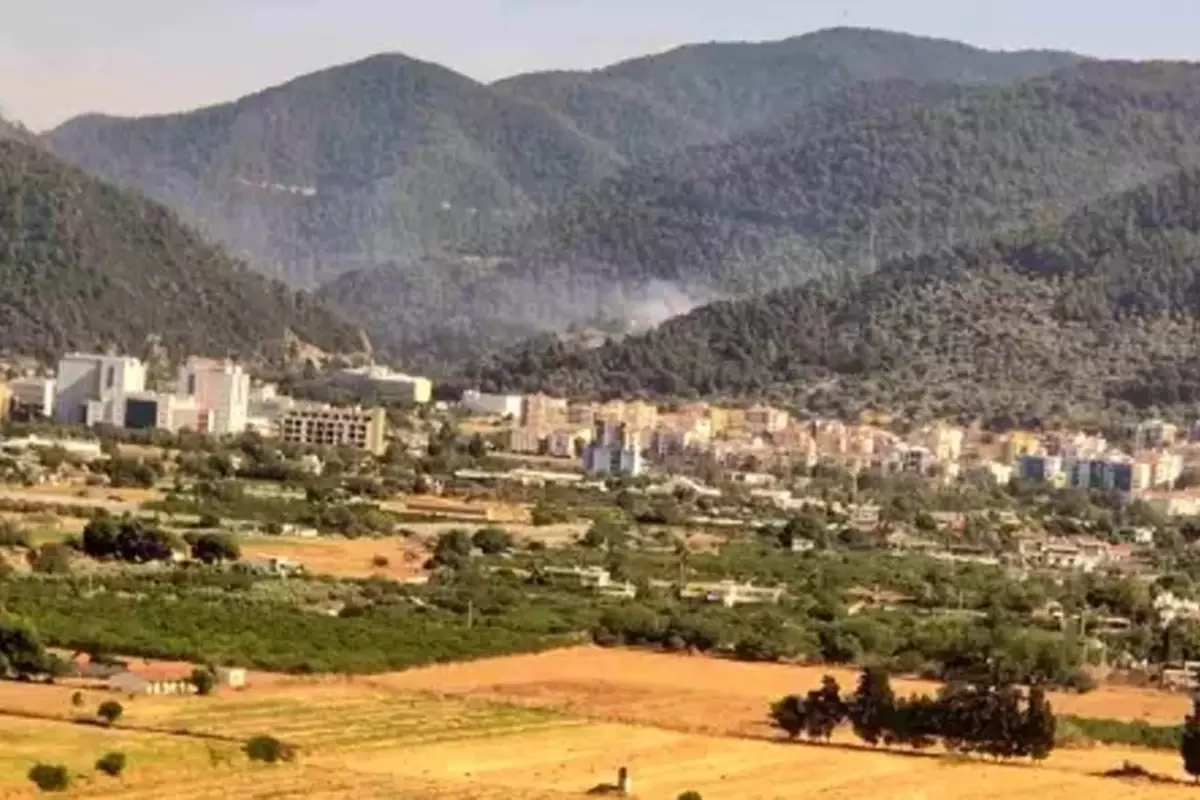 İzmir'in iki ilçesinde orman yangını çıktı
