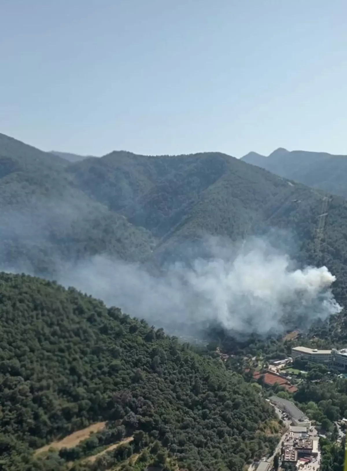 İzmir Narlıdere'de Orman Yangını Çıktı