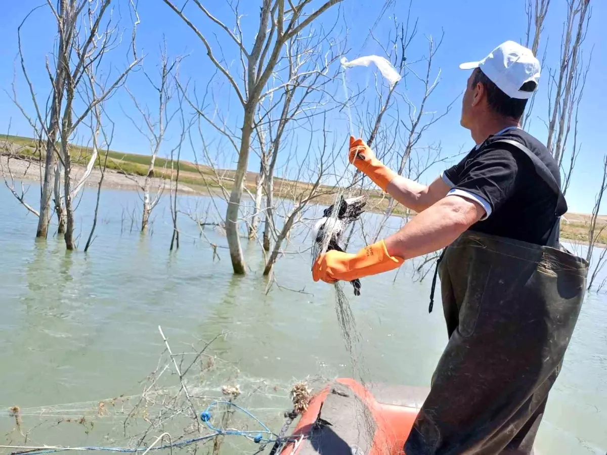 Çorum'da Hayalet Ağlar Toplandı, İhlal Cezaları Uygulandı