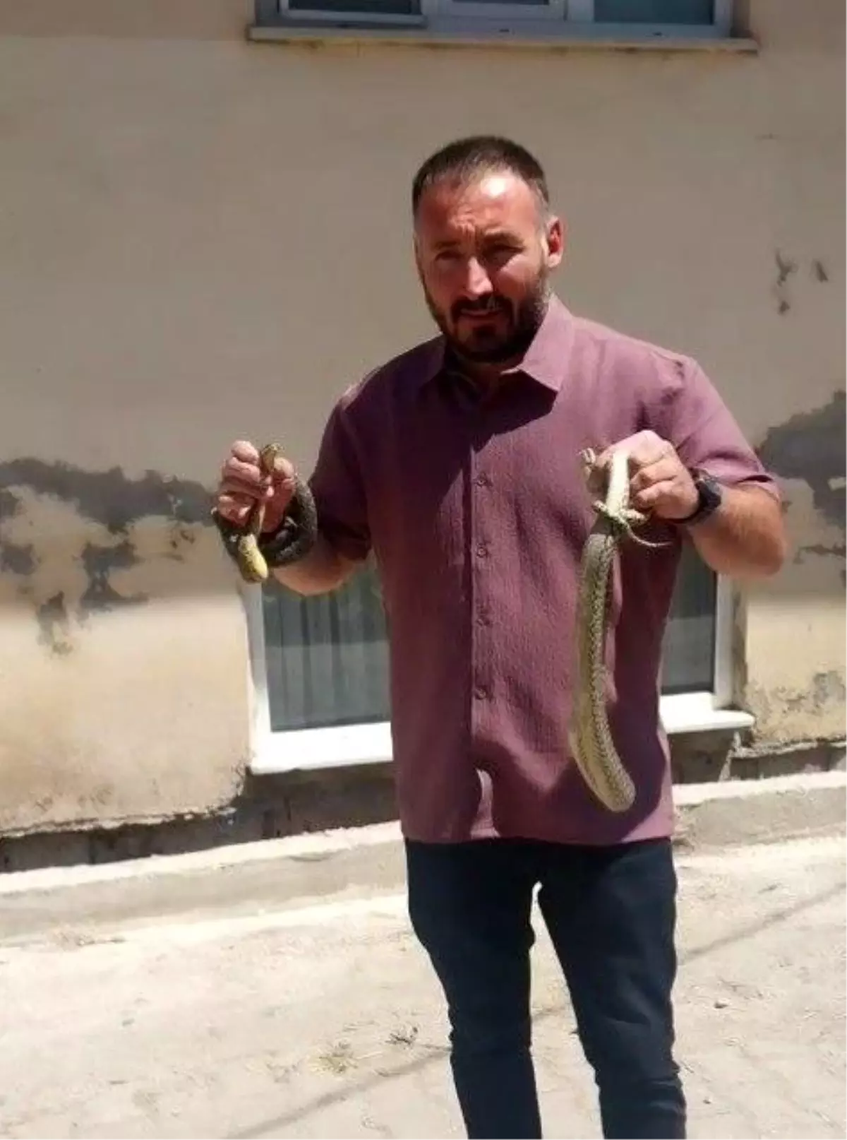 Bilecik'te 'Yılan Avcısı' Olayı