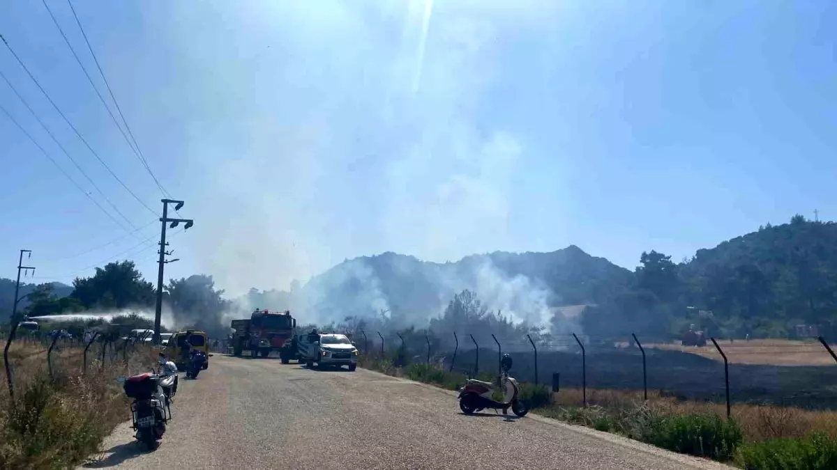Marmaris'te Orman Yangını Kontrol Altına Alındı