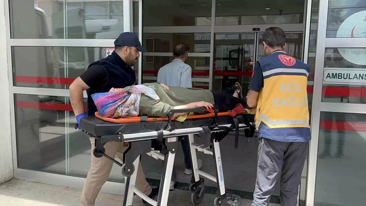 Adıyaman'da Freni Boşalan Otomobil Şarampole Devrildi: 8 Yaralı