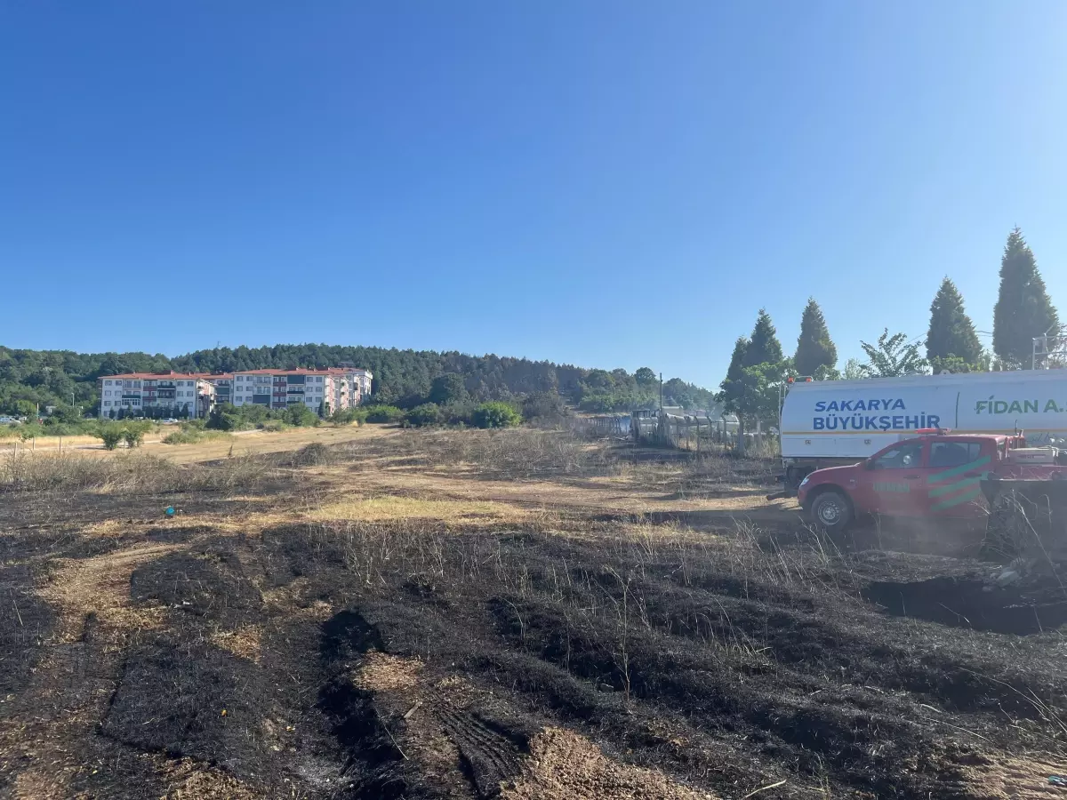Sakarya'da Orman Yangını Kontrol Altına Alındı