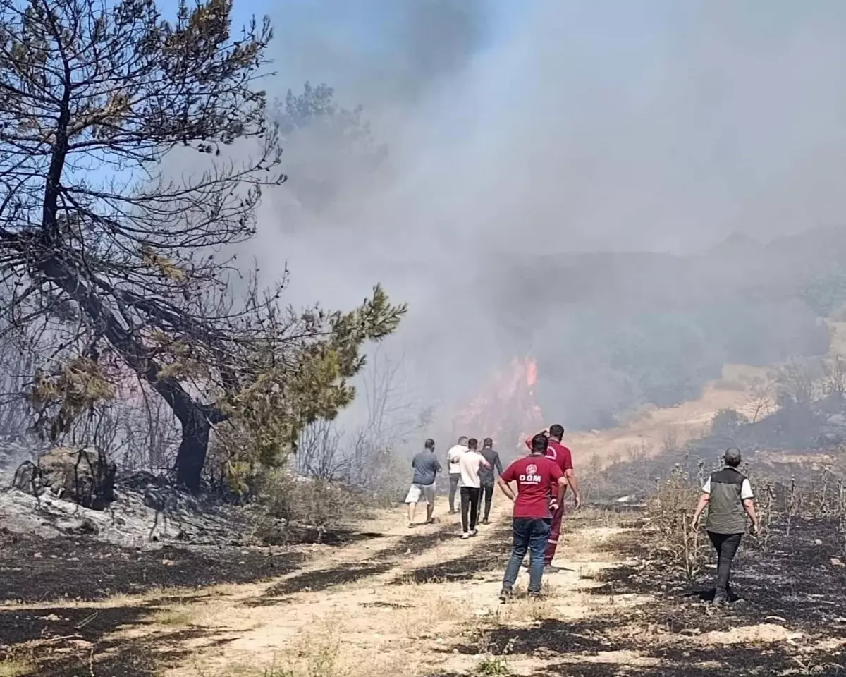 Soma'da Orman Yangınına Sebep Olan Kadına Ev Hapsi Cezası
