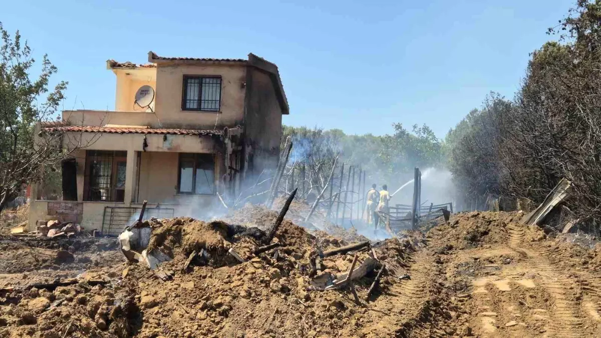 Tekirdağ'da Yangın: 100 Dönüm Alan Zarar Gördü