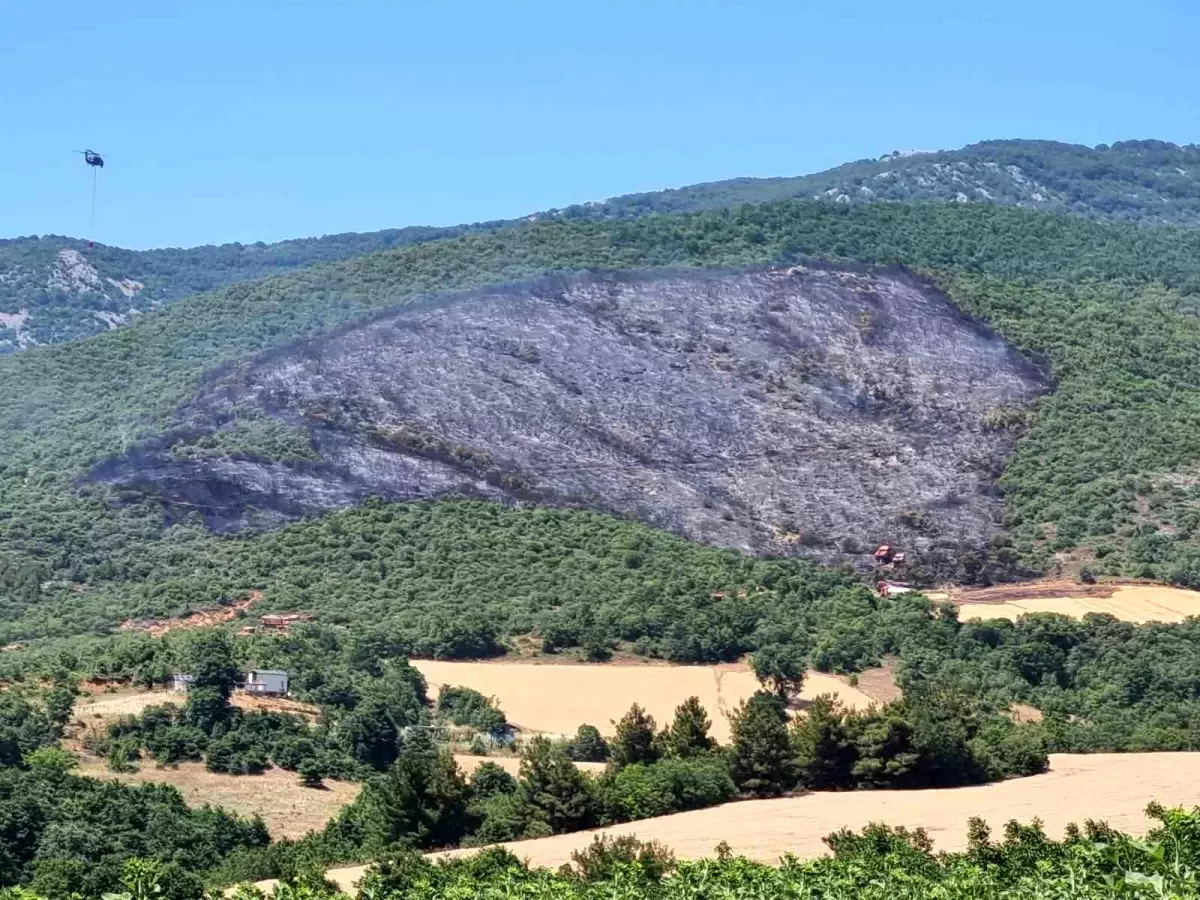 Bursa'da Orman Yangını Hızla Söndürüldü