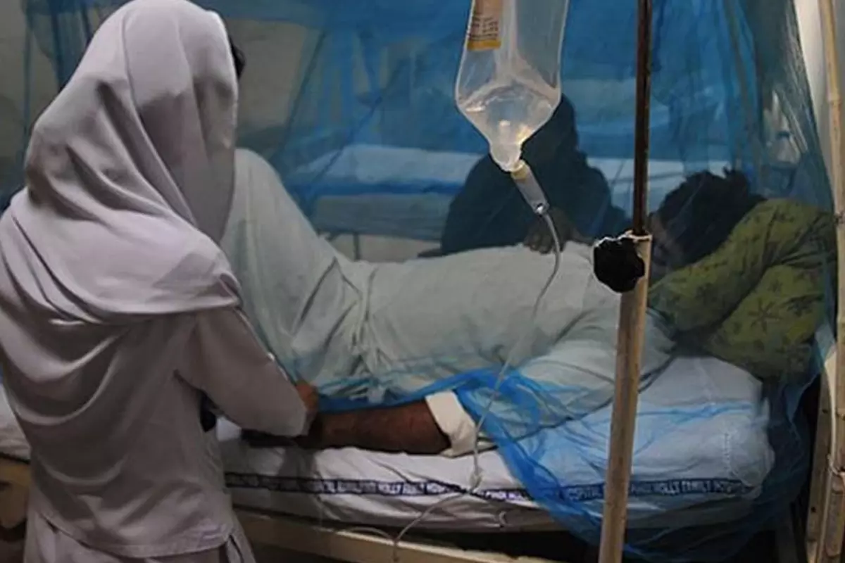 Zimbabve'de sıtma salgını korkunç boyutta: 317 kişi hayatını kaybetti
