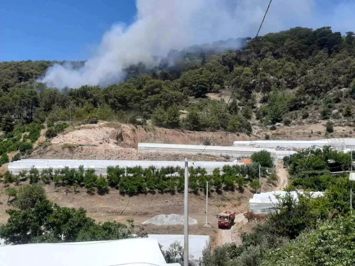 Antalya'nın Kumluca İlçesinde Orman Yangınına Müdahale Başladı