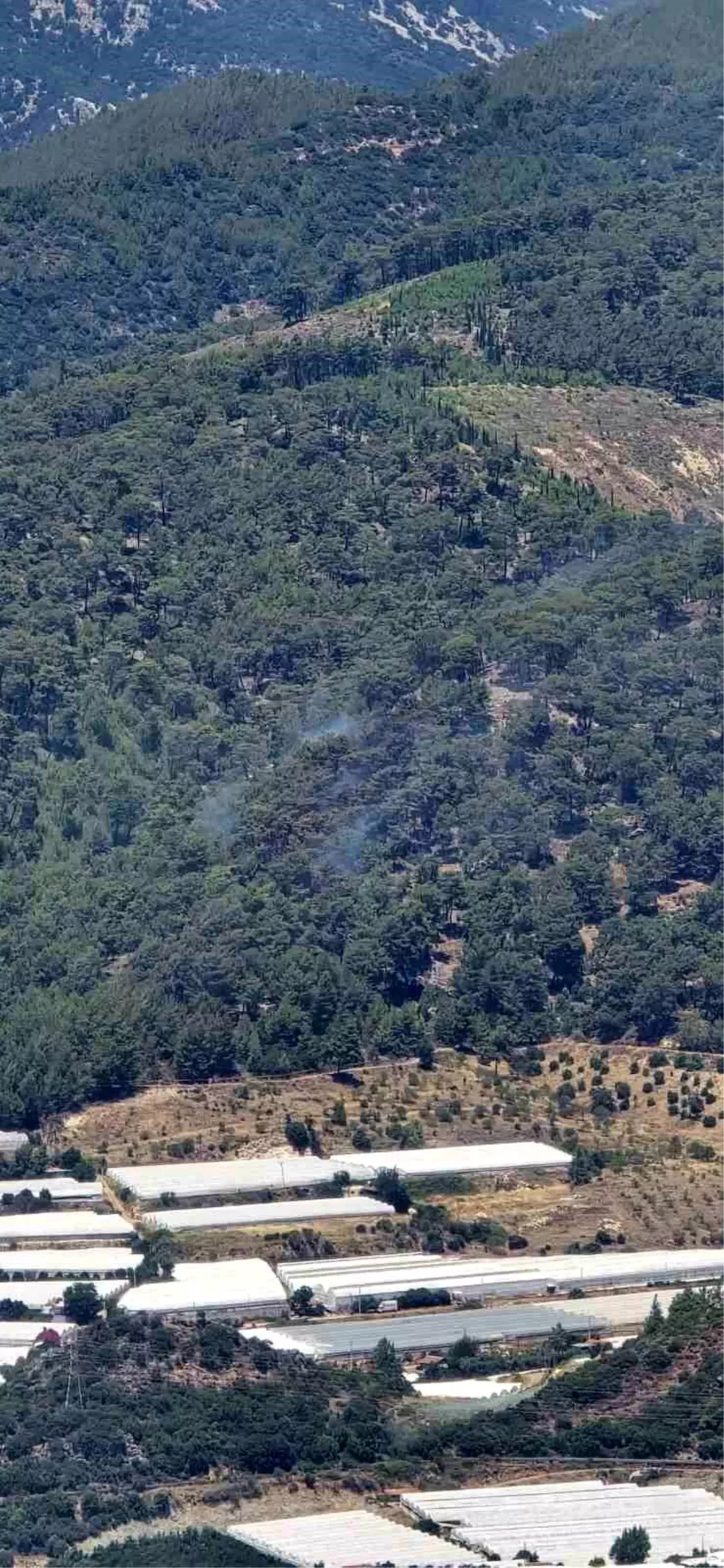 Antalya Kumluca'daki Orman Yangını Kontrol Altına Alındı