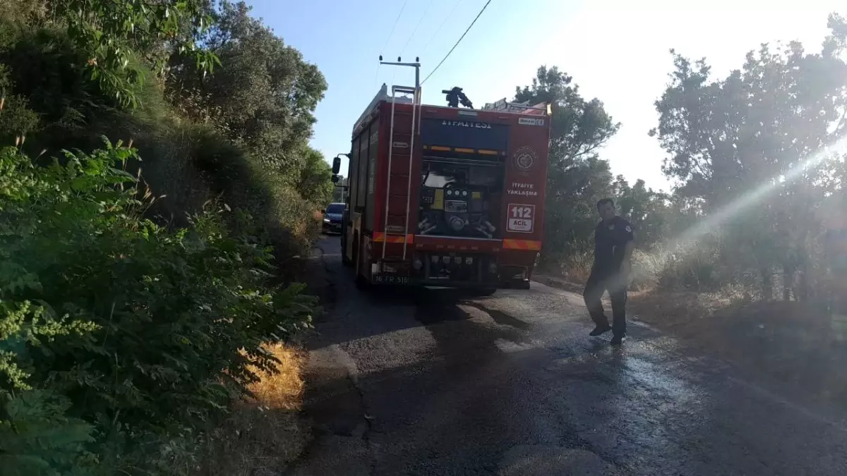 Bursa'da Karganın Elektrik Hatlarına Teması Yangın Çıkardı