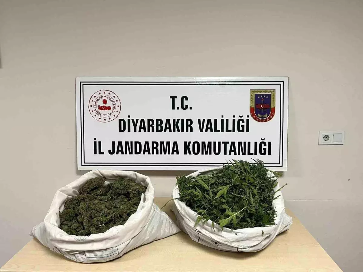Diyarbakır'da 8 Kilo Esrar ve 500 Kök Kenevir Ele Geçirildi