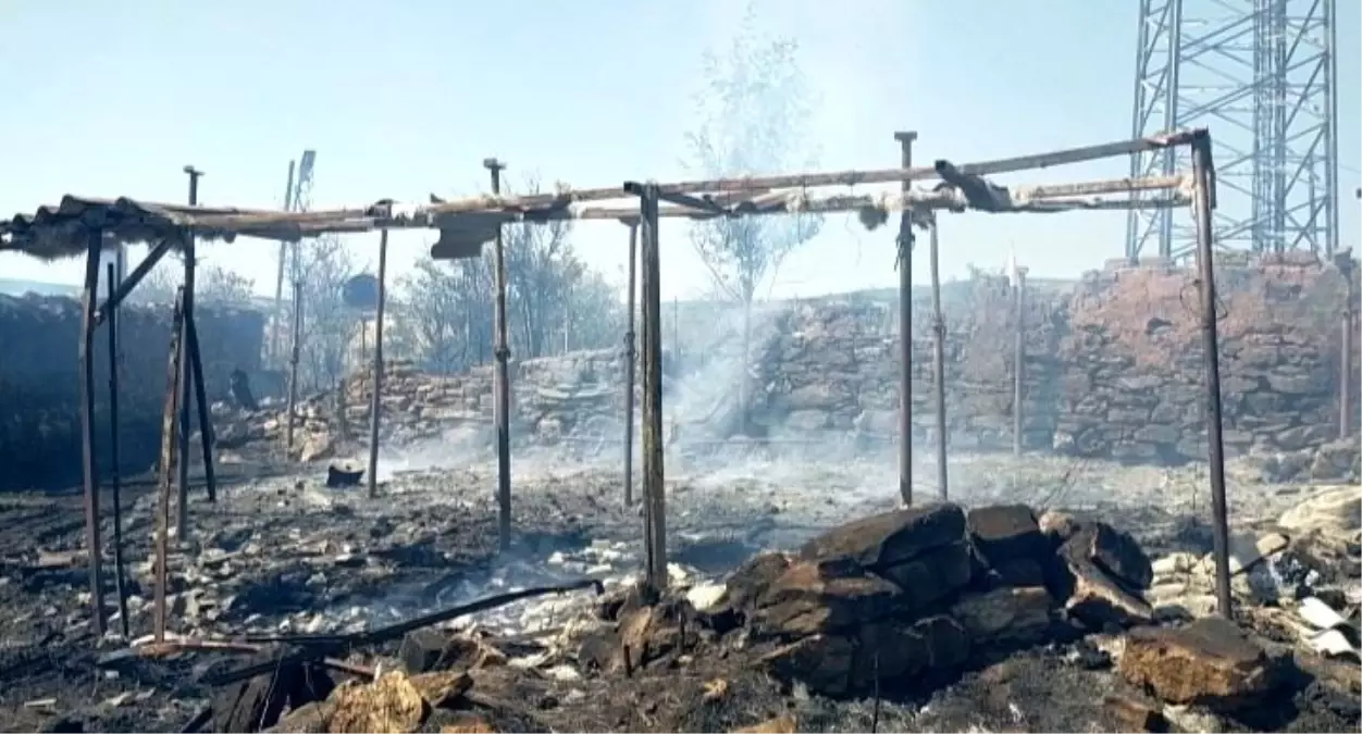 Edirne'de Buğday Tarlasında Çıkan Yangın 3 Evi Küle Döndürdü