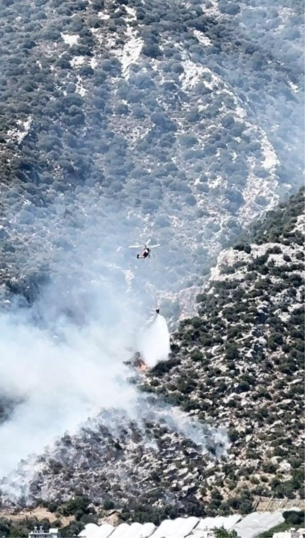 Antalya'da Orman Yangını Kontrol Altına Alındı