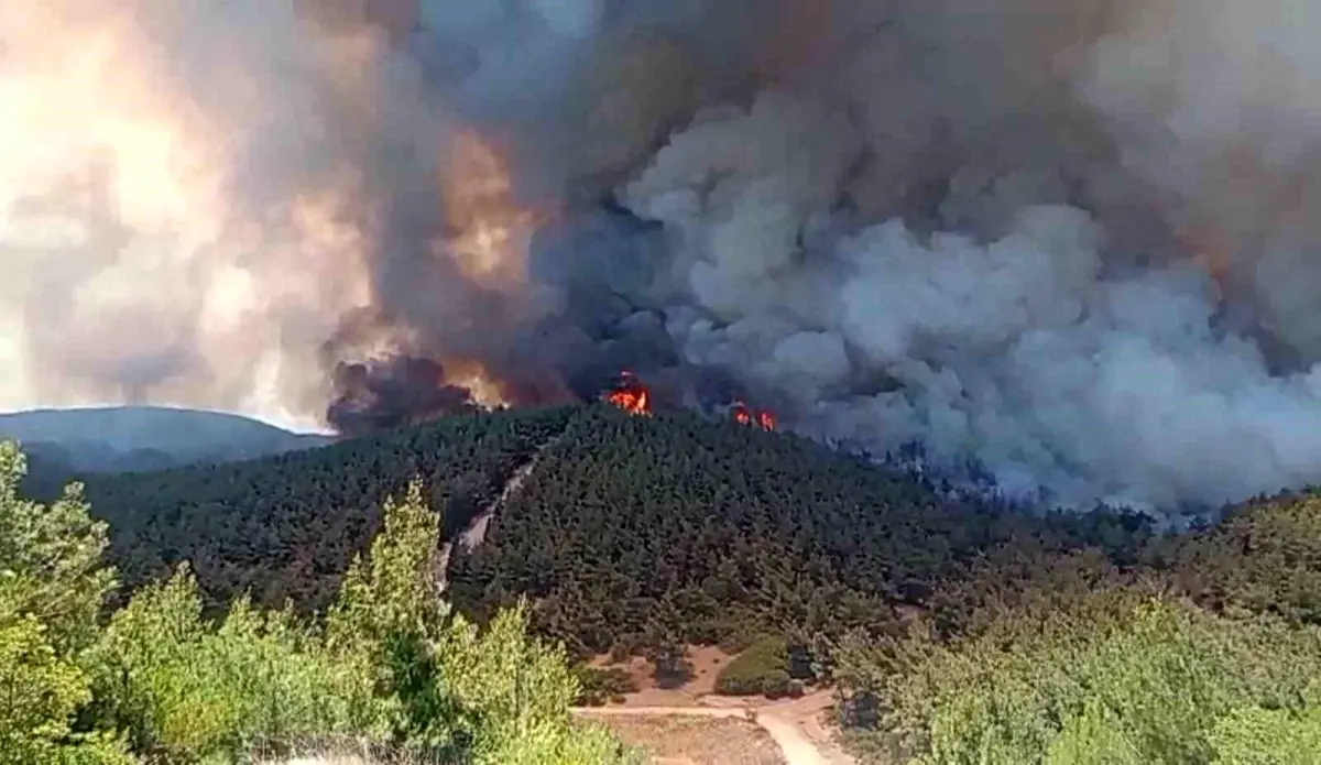İzmir Foça'da Büyüyen Orman Yangınına Müdahale Devam Ediyor