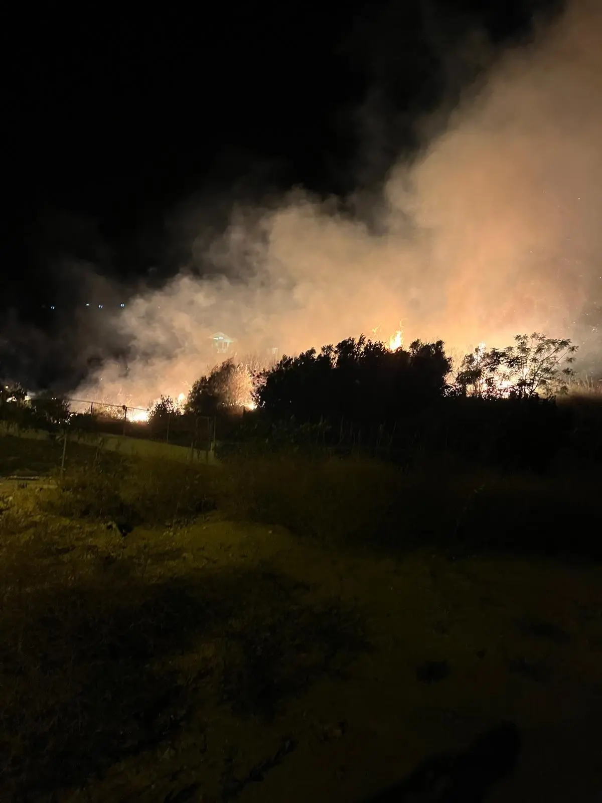 Hatay'da Ağaçlık Alanda Yangın Söndürüldü