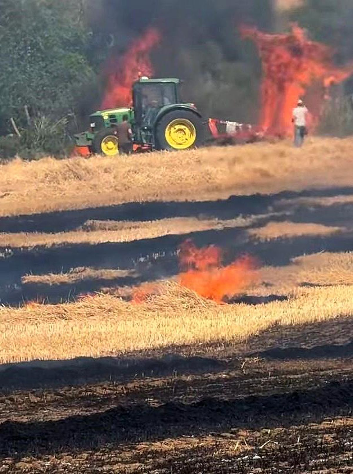 Tekirdağ'da Buğday Tarlasındaki Yangın 7 Dönüm Alanı Kül Etti