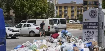İzmir'de sokaklar çöp yığınlarıyla doldu, vatandaşlar 'Hastalık saçıyor' diyerek isyan etti