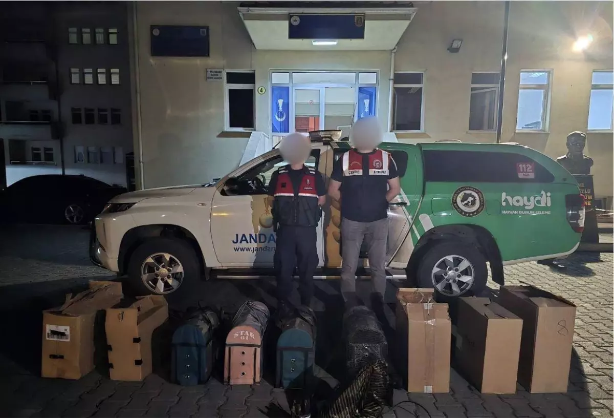 Trabzon'da Horoz Dövüşü Yapan 4 Kişiye Ceza