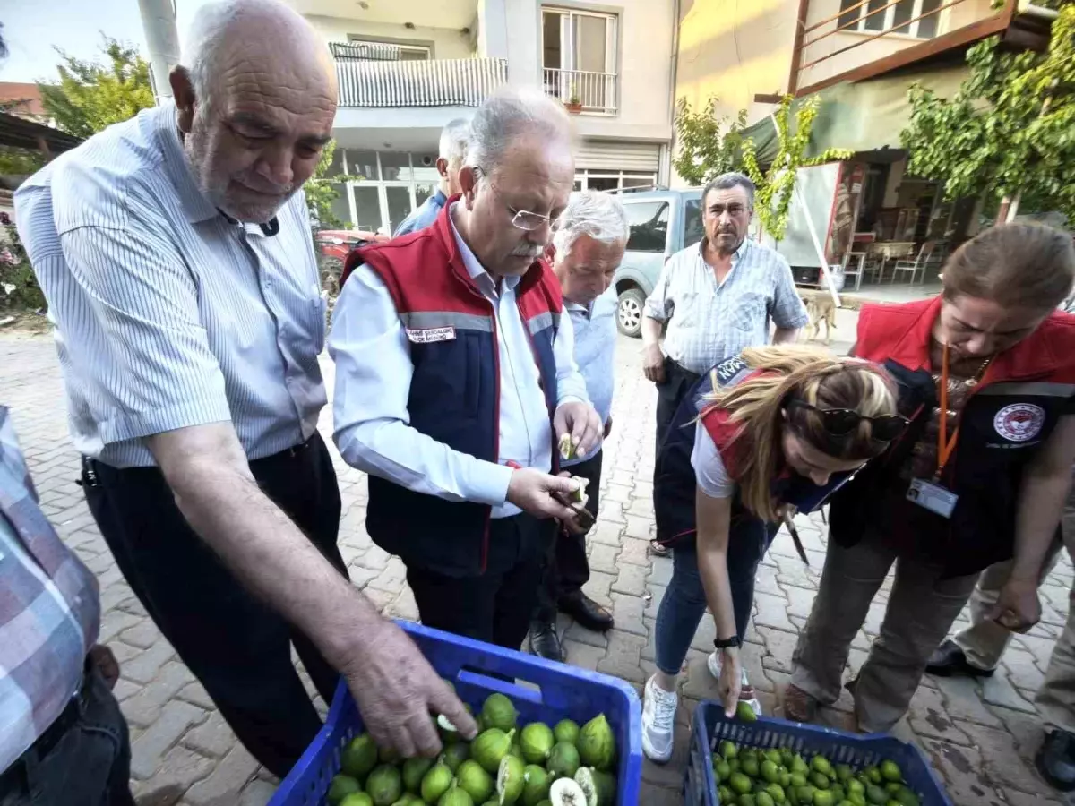 İncir Üreticilerine Sağlıklı İlek Kullanımı Bilgilendirmesi