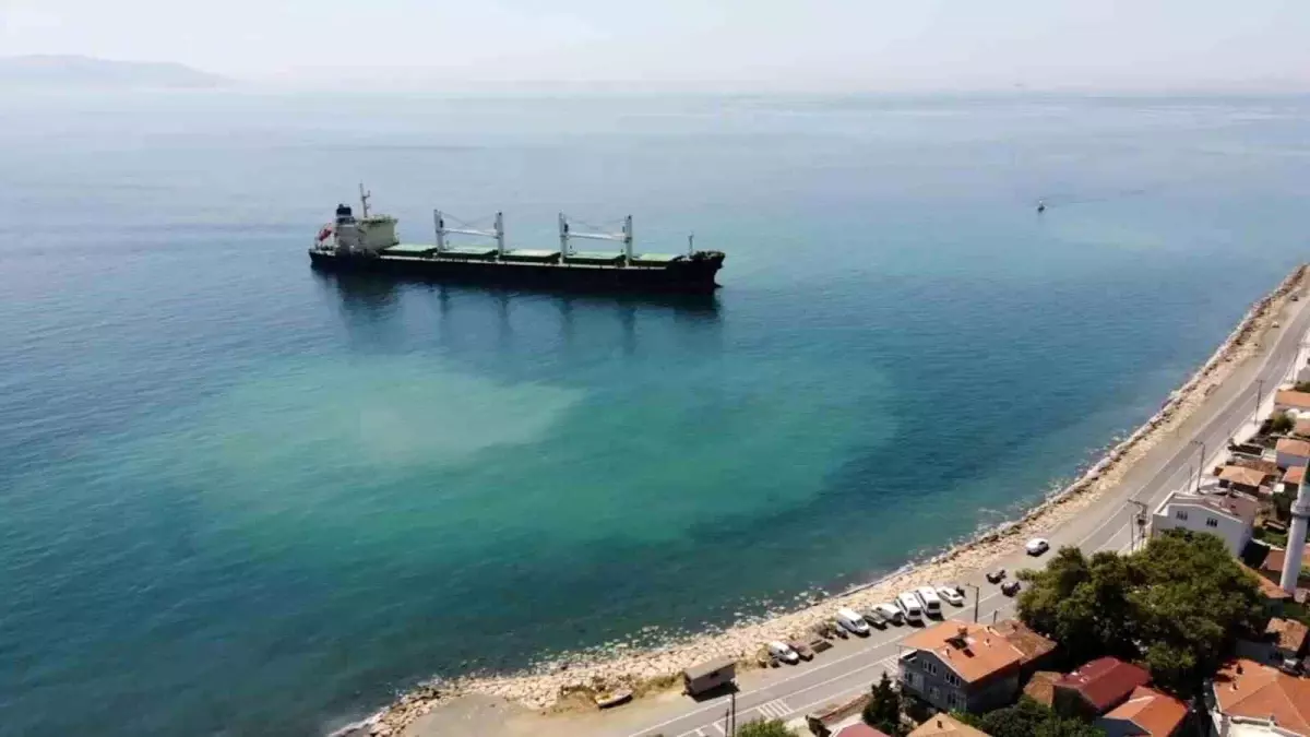 Tekirdağ'da Bahama Bayraklı Kuru Yük Gemisi Karaya Oturdu