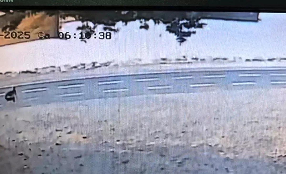 Tekirdağ'da Kuru Yük Gemisi Karaya Oturdu