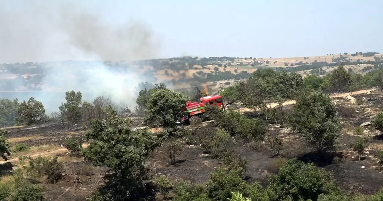 Kırklareli'nde Ceviz Bahçesi ve Ormanda Yangın Kontrol Altına Alındı