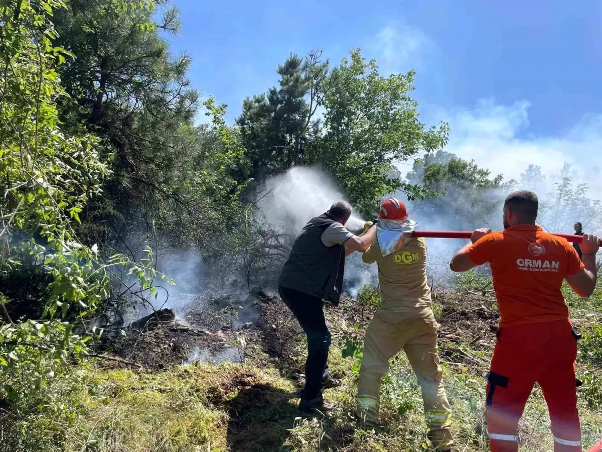 Köyceğiz'de Orman Yangını Kontrol Altına Alındı