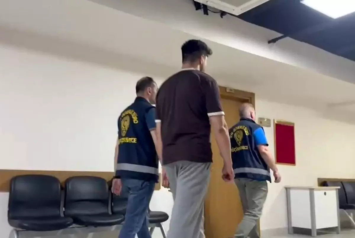 İstanbul'da Otluk Alan Yangını Çıkaran Şahıs Tutuklandı