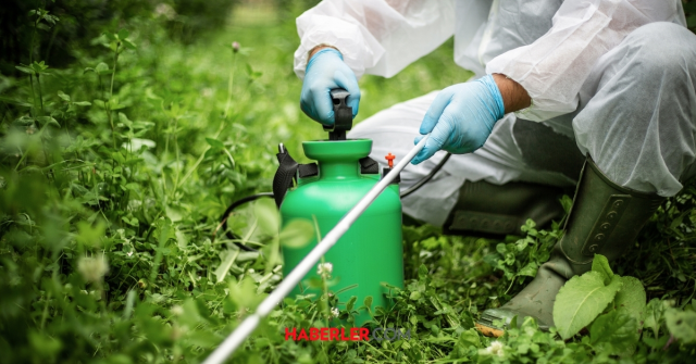 Pestisit nasıl temizlenir? Meyve ve sebzelerdeki pestisitler nasıl arındırılır?