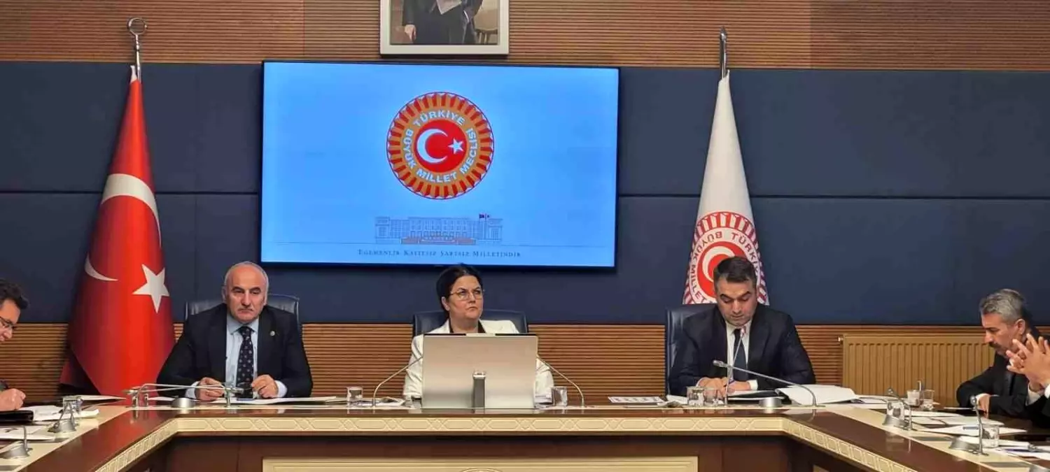 TBMM İnsan Hakları İnceleme Komisyonu Alt Komisyonlarını Belirledi