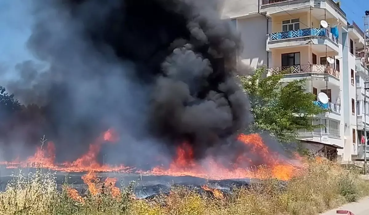 Tokat'ta Boş Arazide Çıkan Yangın Kontrol Altına Alındı