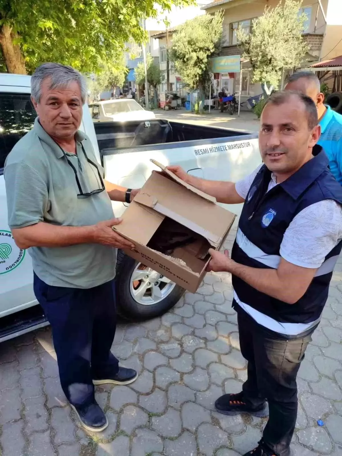 Yaralı Atmaca Bilecik'te Koruma Altına Alındı