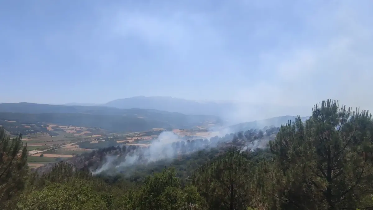Bursa'da Orman Yangını 6 Saatte Kontrol Altına Alındı