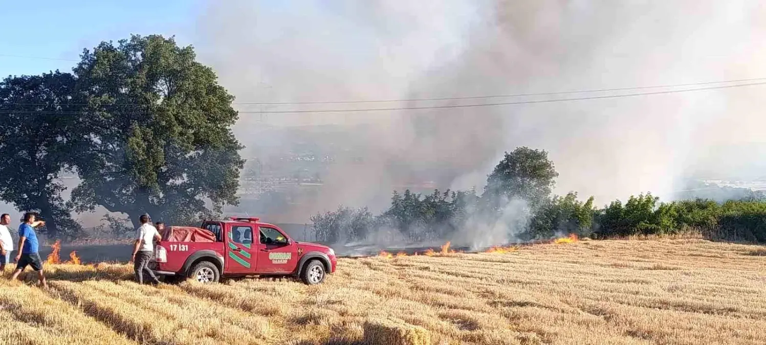 Çanakkale'de Tarım Arazisinde Yangın Kontrol Altına Alındı