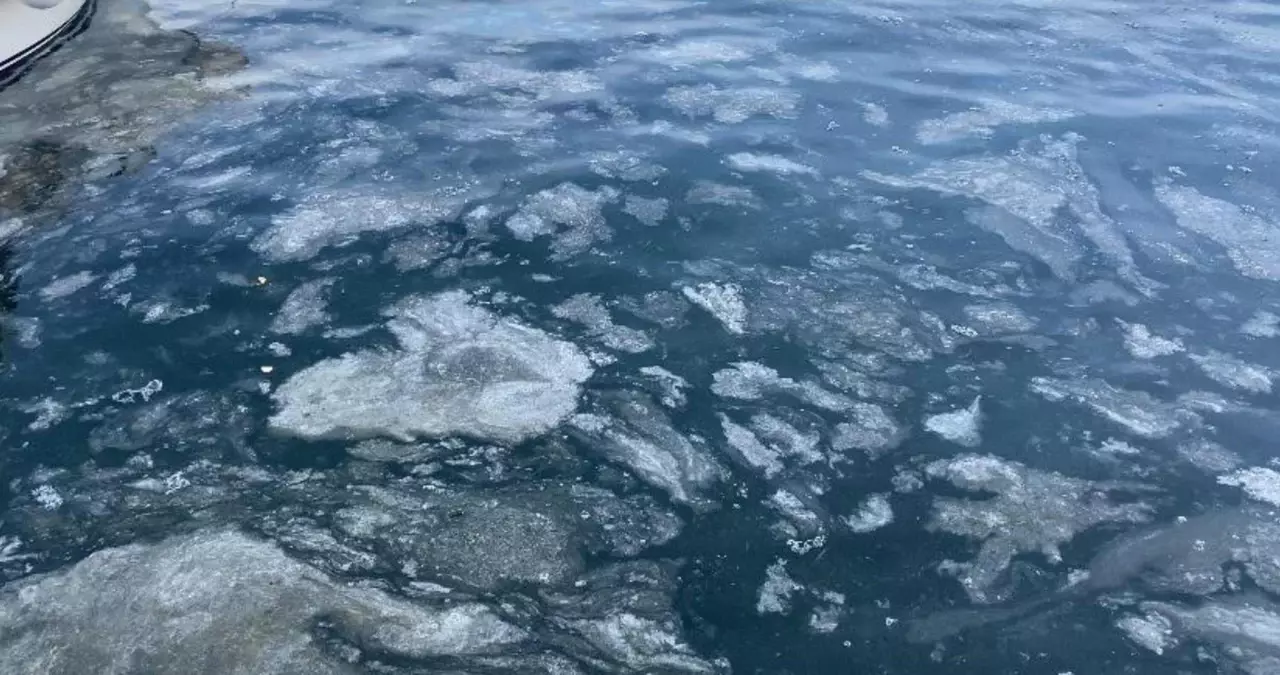 Çanakkale Boğazı'ndaki Müsilaj Sorunu Yaz Aylarıyla Beraber Azaldı