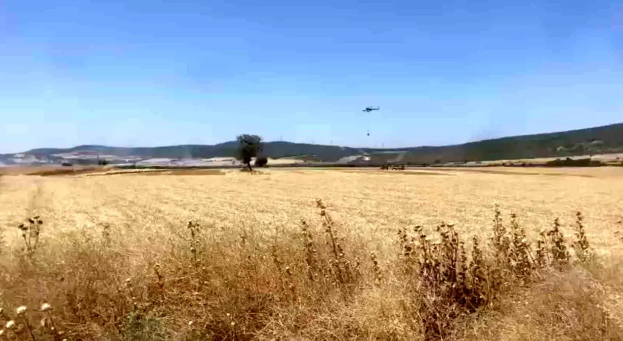 Çanakkale'de Tarım Arazisinde Yangın Kontrol Altına Alındı