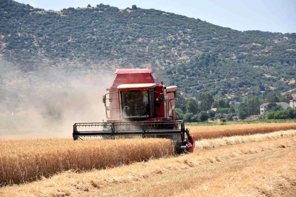Kuraklık Tarım Üzerinde Olumsuz Etki Yaratıyor