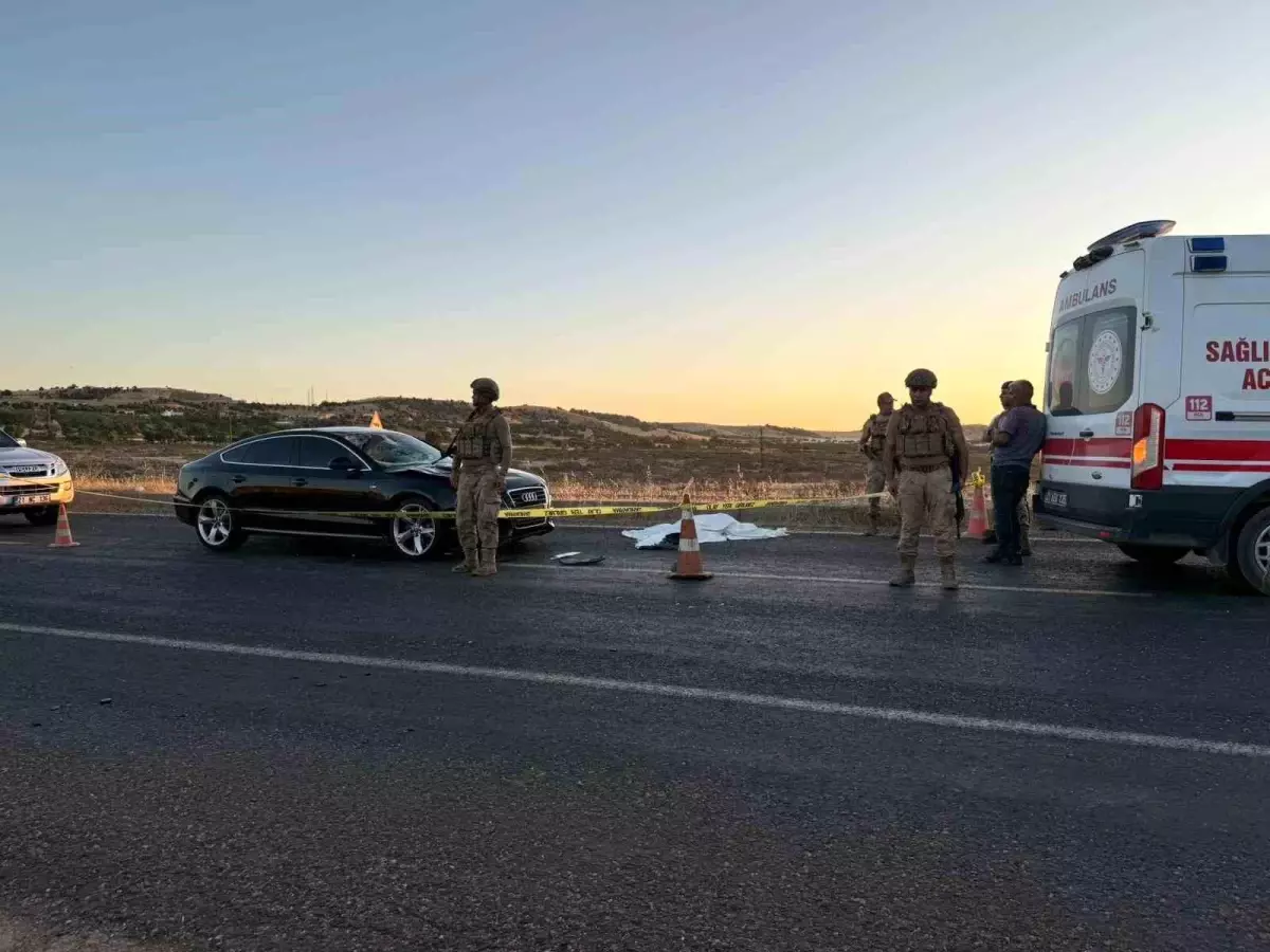 Diyarbakır'da Trafik Kazası: Yaşlı Çift Otomobilin Çarpması Sonucu Yaralandı, Biri Hayatını Kaybetti